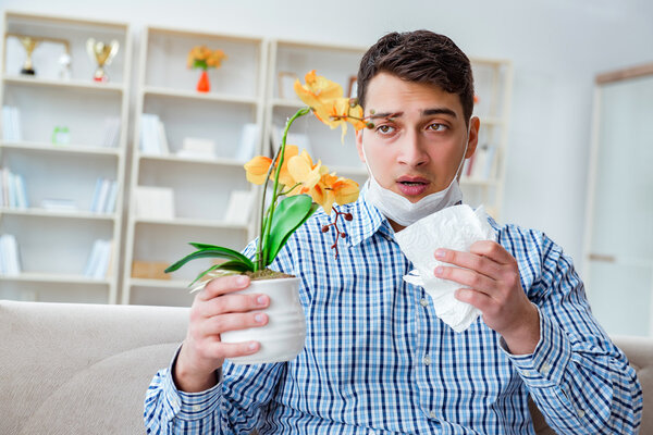 The season of high incidence of allergic rhinitis is coming! You know what? Itchy nose and itchy eyes are typical symptoms of hay fever image 11 - The season of high incidence of allergic rhinitis is coming! You know what? Itchy nose and itchy eyes are typical symptoms of hay fever